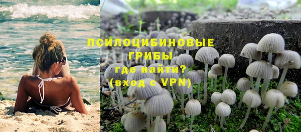 гашик Баксан