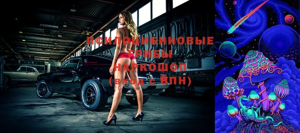 молекула духа Балахна